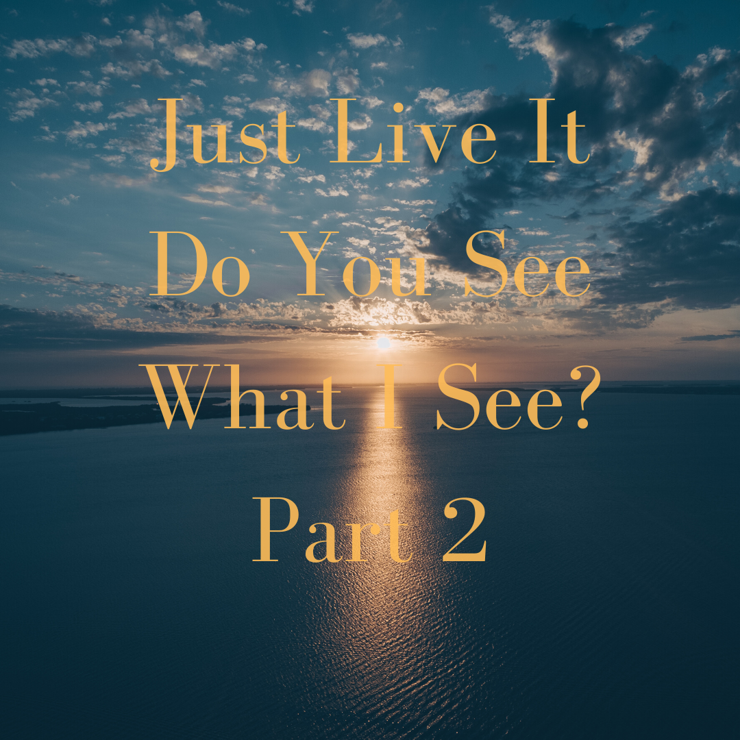 Photo inspiration: Visual Reference: Just Live It Do You See What I See Part